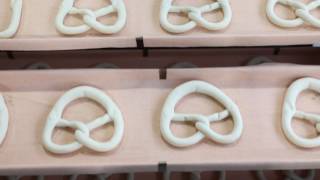 Production Plant Of Ditsch