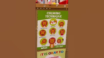 All Pre-K Classes need a Calming Corner ! Check Out my Emotions Pillow Case from Temu Haul 🤗☺️