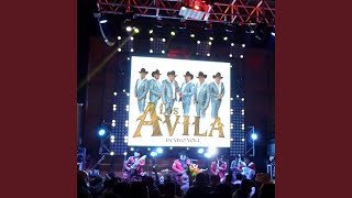 Video thumbnail of "Los Ávila - Huapangos Amor de la Vida Alegre, el Son del Kora (Live)"