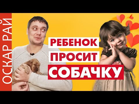 Шпаргалка родителям • Ребёнок просит Завести собаку • Ожидания и реальность детей и взрослых