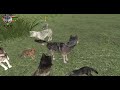 Ironwolf Hestia | Wolfquest AE | Singleplayer