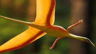 Sharovipteryx  The Hindlimb Gliders