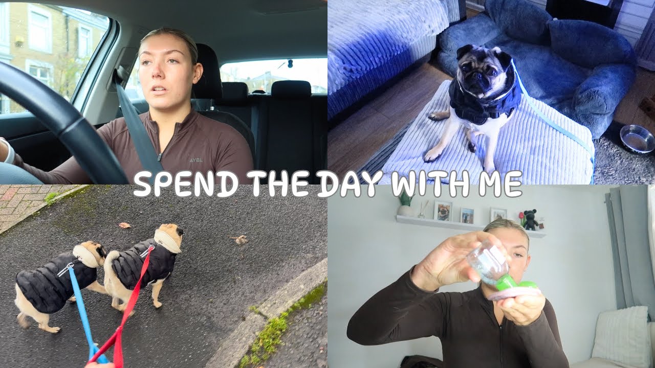 SPEND THE DAY WITH ME | DOG WALKS, SKINCARE, HAIRCARE, COOKING  AND MORE | Nicole Taylor
