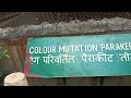 Delhi national zoological park  part 3 birds love birds