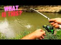 Crazy RARE Creek Fishing Catches!!