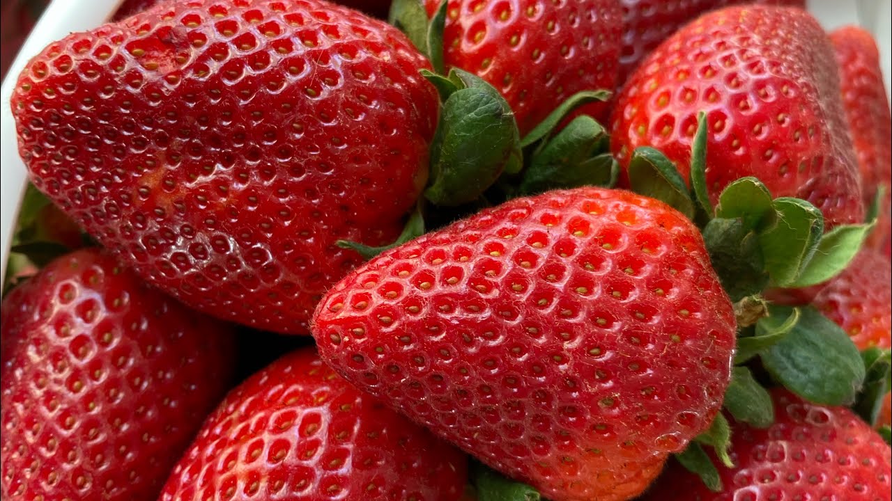 Lunch and Strawberries at Strawberry Hill USA in Chesnee, South