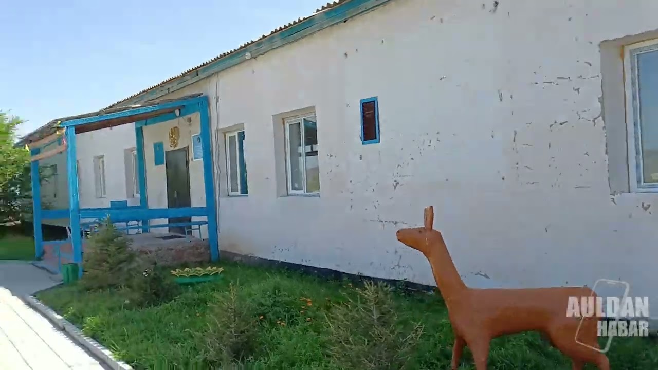 Орындықта трусики жоқ бейне Қатты секс