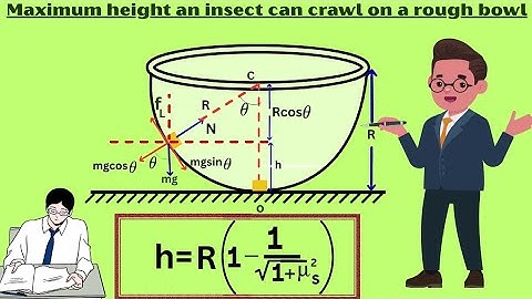 Maximum height an insect can crawl on a rough bowl @Exploration_begins 