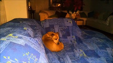 Video made with Bluboo Xtouch