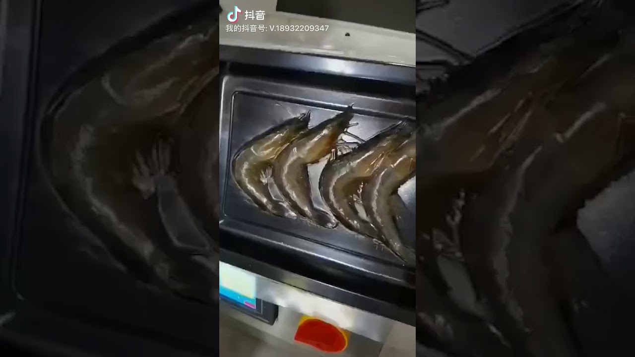 Protable vacuum skin packing machine salmon durian fish meat beed YouTube