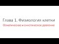 Физиология. Глава 1. Клетка. Урок 10. Осмотическое и онкотическое давление