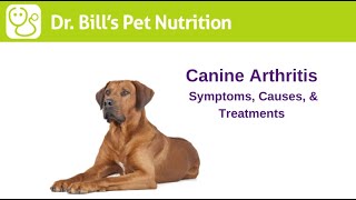 Canine Arthritis | Symptoms, Causes, & Treatments | Dr. Bill's Pet Nutrition | The Vet Is In