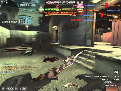 Sudden Attack - Hacker