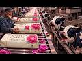 Inside The Factory How Luxury Buffalo Milk Soap Is Made  Full Manufacturing Process