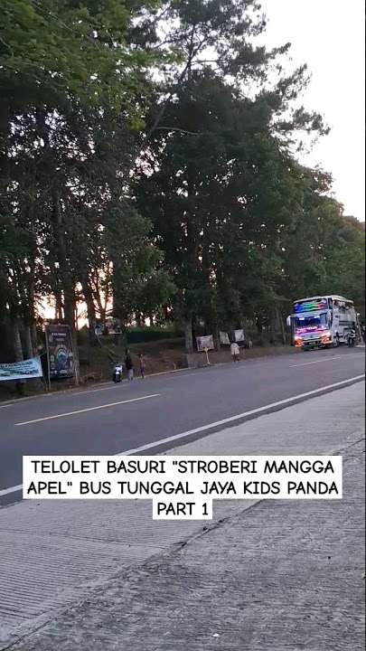 TELOLET BASURI 'STROBERI MANGGA APEL' BUS TUNGGAL JAYA KIDS PANDA PART 1 #basuri #bus #tunggaljaya