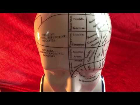 Video: Phrenology: The Study Of Personality On The Head - Alternative View