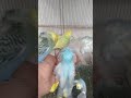 ⚠️普通で平気？流れが変
