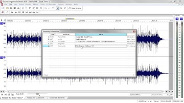Sony Sound Forge Audio Studio 10_MetaDataWindows
