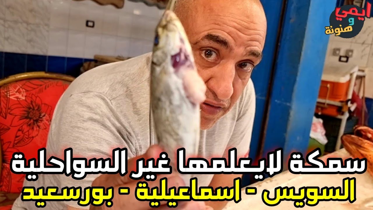 سر السمكة اللي بتتآكل ني 🐟 ربنا جعل في بطنها ميزة 💥 لاتقدر بثمن