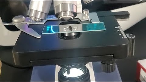 AmScope Basic How to Use Guide + The Hunt for the Tardigrade