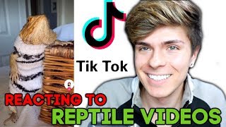 REACTING TO REPTILE TIK TOKS