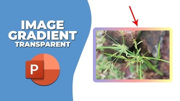 How to make an image gradient transparent in PowerPoint