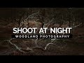 Woodland Photography At Night in Ancient Sherwood Forest • Sciryuda Vlog