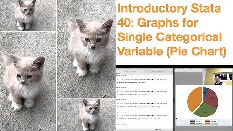 Introductory Stata 40: Graphs For Single Categorical Variable (Pie Chart)