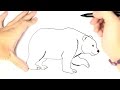 Comment dessiner un ours polaire pour les enfants