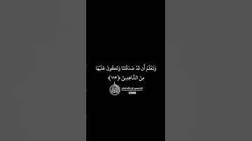 ماهر المعيقلي - سورة المائدة ( برواية حفص عن عاصم ) الأية 113