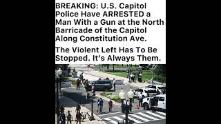 Capitol security incident renews debate over public safety, law enforcement, and security measures.