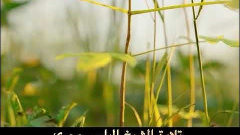 ما تيسر من سورة غافر تلاوة الشيخ الياس حجري