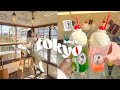 tokyo vlog 🇯🇵 | good coffee &amp; pudding, trip to nikko, kawaii treats in asakusa, autumn leaves