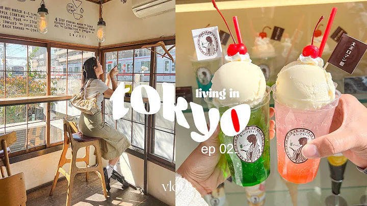 tokyo vlog  | good coffee & pudding, trip to nikko...