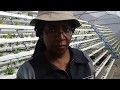 Spotlight on urban farming with Sibongile Cele