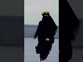 يارفيق الدرب مهما كنت فذا لن تفوقا حالات واتس اب يارفيق الدرب مهما كنت فذا لن تفوقا حالات واتس اب