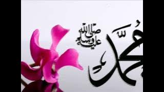 NURUL MUSTHOFA - RABBI SHOLI DAIMAN