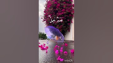 فَصَبْرٌ جَمِيلٌ....💜🍇أرح سمعك |قرآن كريم بصوت جميل جدا جدا 🎧❤️