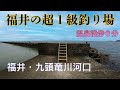 【釣り場動画#132】福井の大人気釣りポイント、サワラ、シーバス、アオリイカ、九頭竜川河口にある三国突堤は最高です