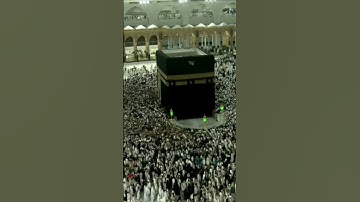 سورة #الفاتحة | الشيخ#ماهر_المعيقلي|#الحرم_المكي#الكعبة#المسجد_الحرام#رمضان#قرآن#اكسبلور#صلاة_التهجد
