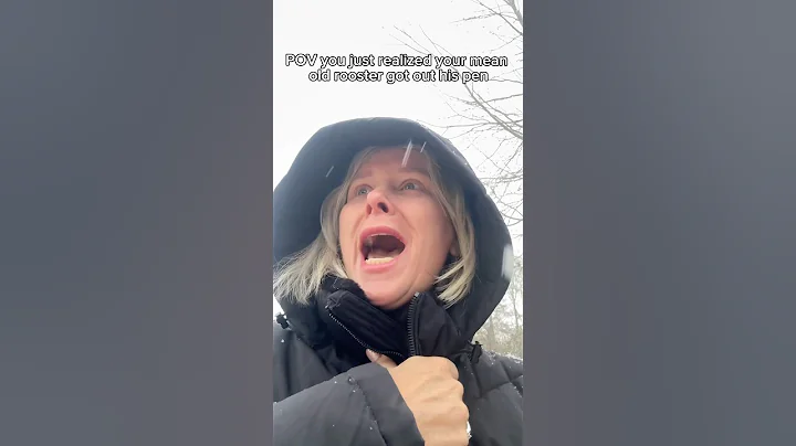 Mommas POV: If you own chickens you know 🤣😭 #joshandmomma #joshsmom