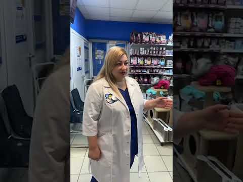 Экскурсия по ветеринарной клинике Ткачева 15, г. Волгоград. Клиника принимает экзотических питомцев