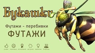 Детские футажи - Букашки