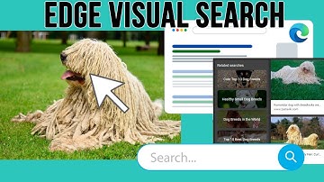 Microsoft Edge Visual Search Feature