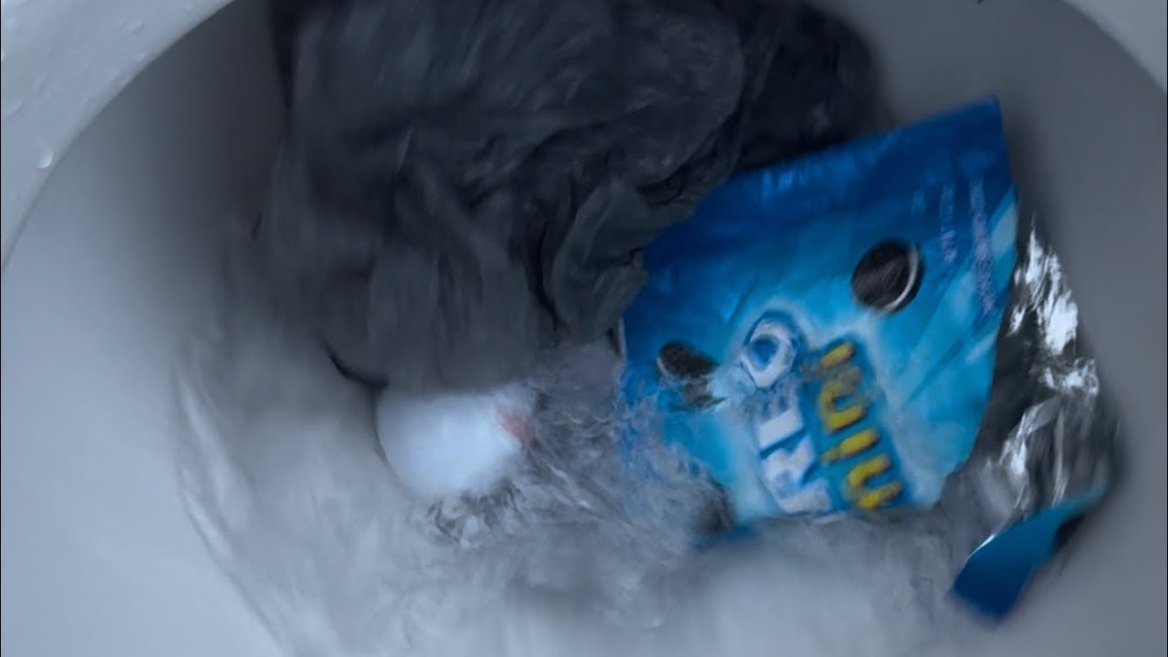 Flushing toilets plus flushing stuff compilation