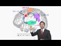 発音の基礎講座「竹村式英語発音矯正法」子音編　のご紹介