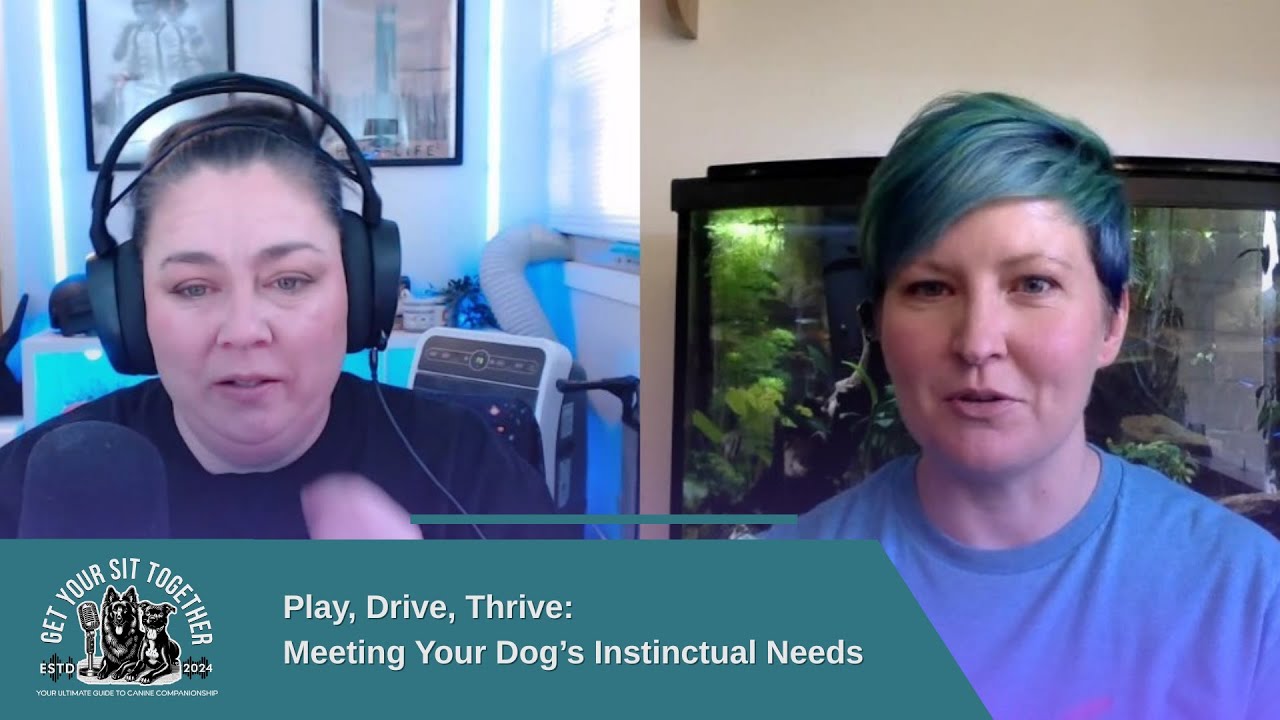 Photo inspiration: Gallery Detail: Play Drive Thrive Meeting Your Dog S Instinctual Needs Ep4