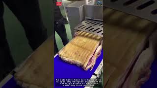 Automatic Meat Cutting Machine for Even and Fast Portion Cutting#tool