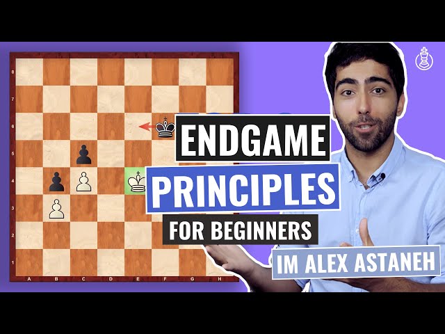 How to Play Chess Endgames - Schachversand Niggemann