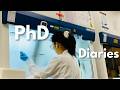 Singapore PhD Diaries🔬| Wet Lab (cell culture, animal work & christmas celebration!)